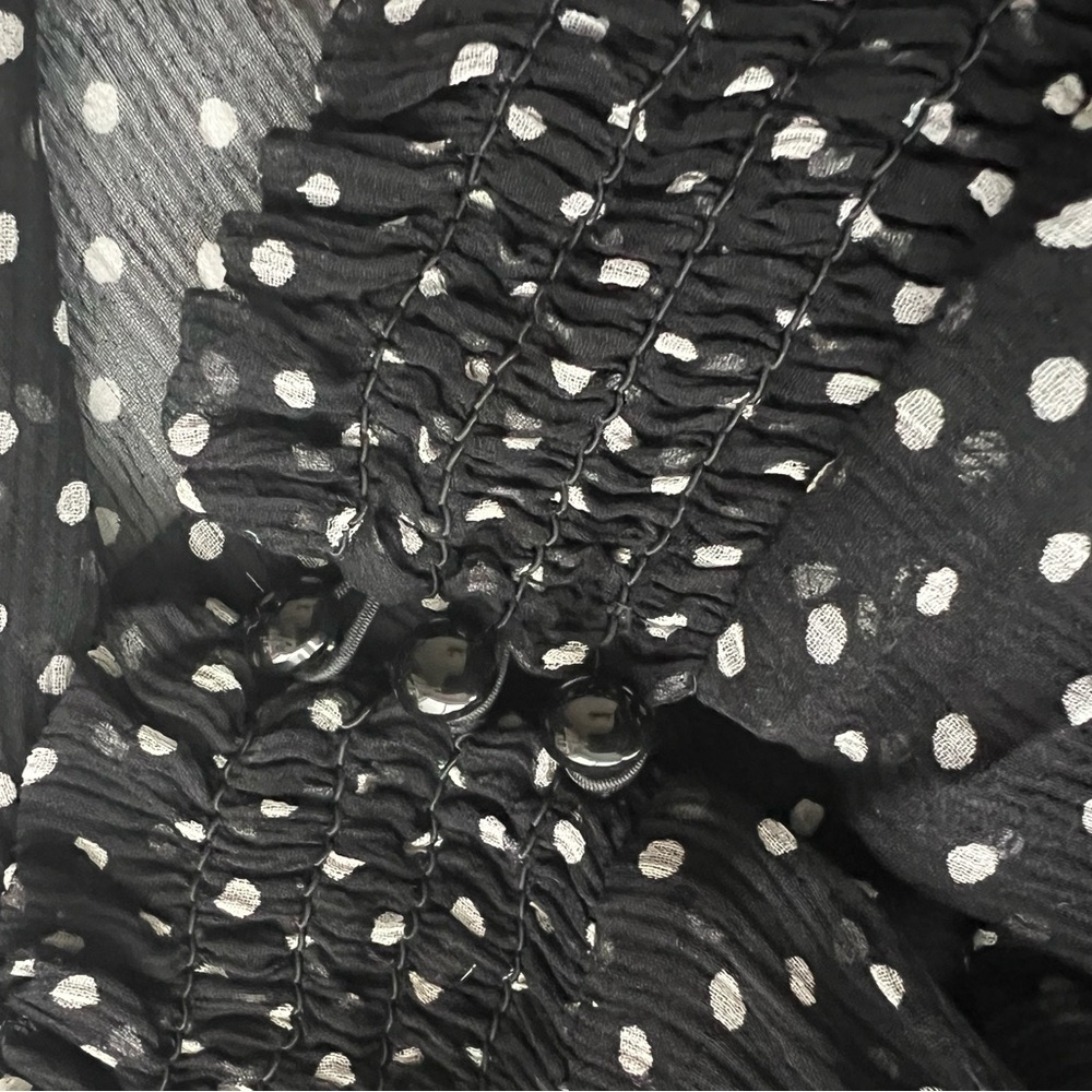 Sezane Olivia dress, silk black and white polka dots size 34 EUC - Picture 9 of 9